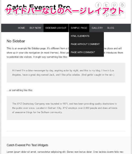 ブログやビジネス用の無料WordPressテーマ「catcheverest」の固定ページのデザイン-2