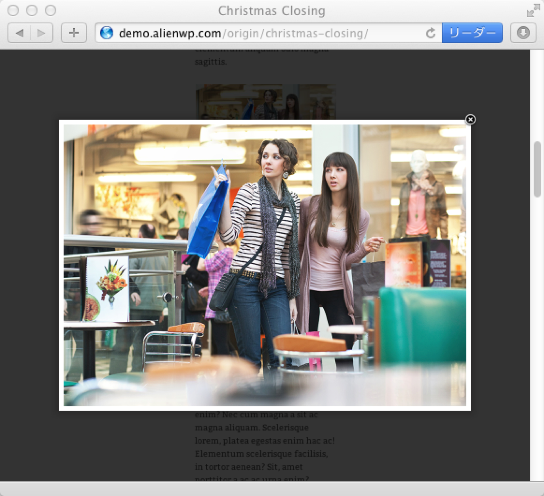 ブログ-写真用の無料WordPressテーマ「orijin」のlightboxのイメージ