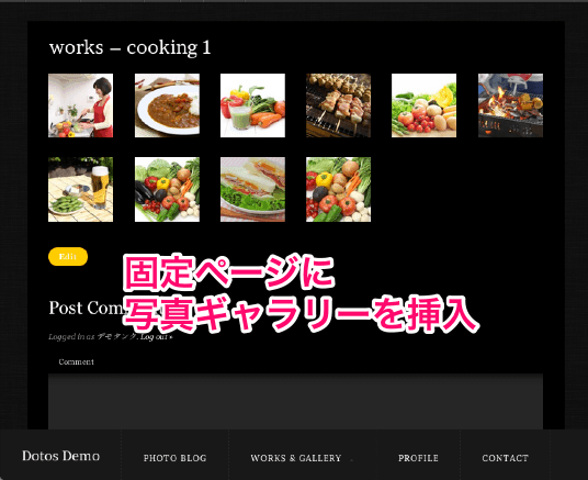写真ギャラリー用の無料WordPressテーマ「dotos」の固定ページのデザイン１