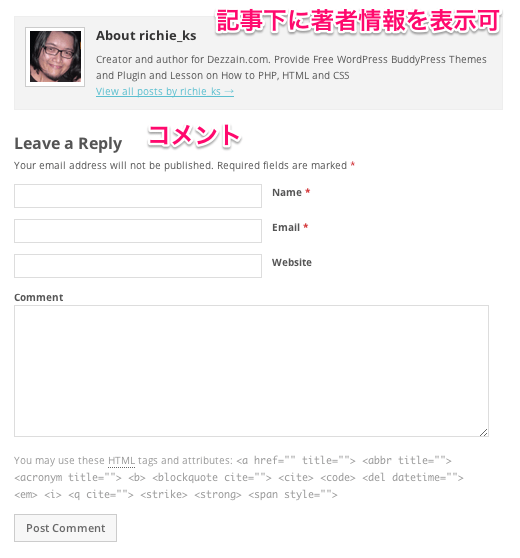 ポータル-webマガジン-ブログ用の無料WordPressテーマ「Mesocolumn」の投稿ページデザイン2