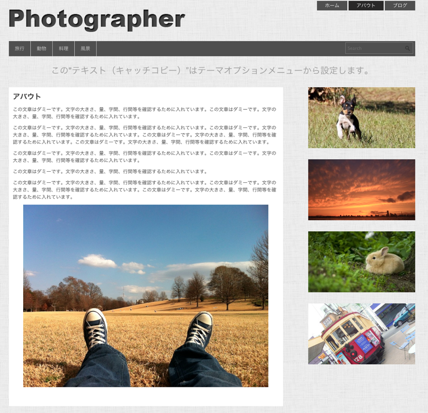 写真ギャラリー-ポートフォリオ用の無料WordPressテーマ「Photographer」の固定ページの作成方法２
