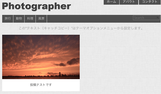 写真ギャラリー-ポートフォリオ用の無料WordPressテーマ「Photographer」の投稿ページの作成方法３