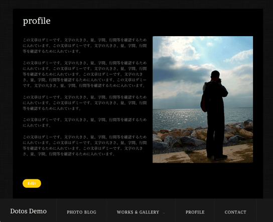 写真ギャラリー用の無料WordPressテーマ「dotos」の固定ページのデザイン３