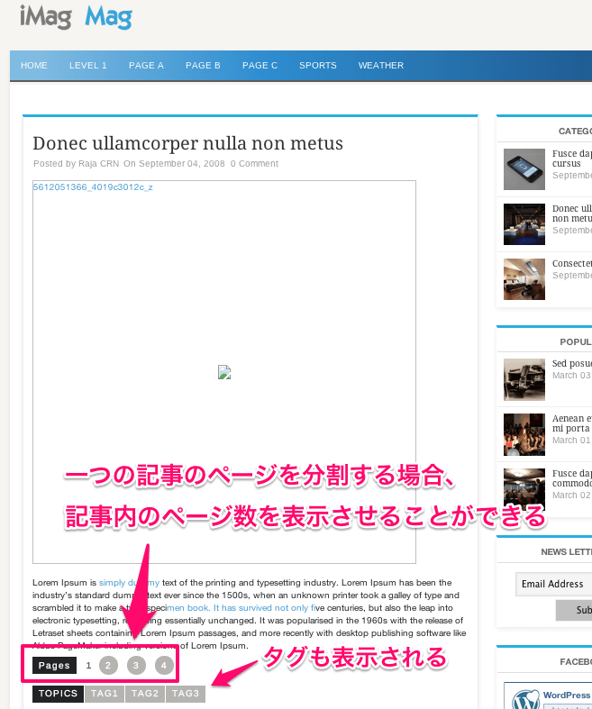 ニュースメディア用の無料WordPressテーマ「iMag-Mag」の投稿ページデザイン